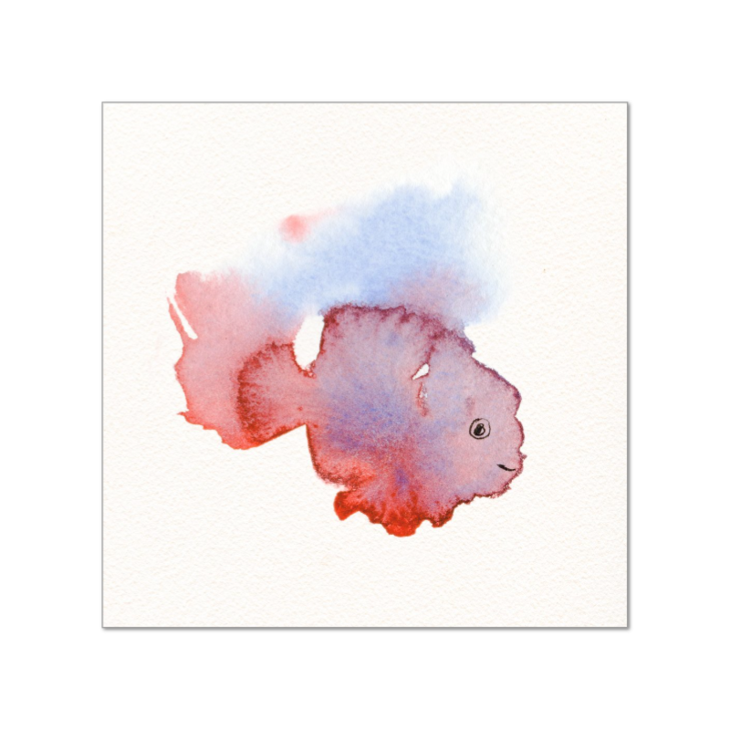 Fishy Friend