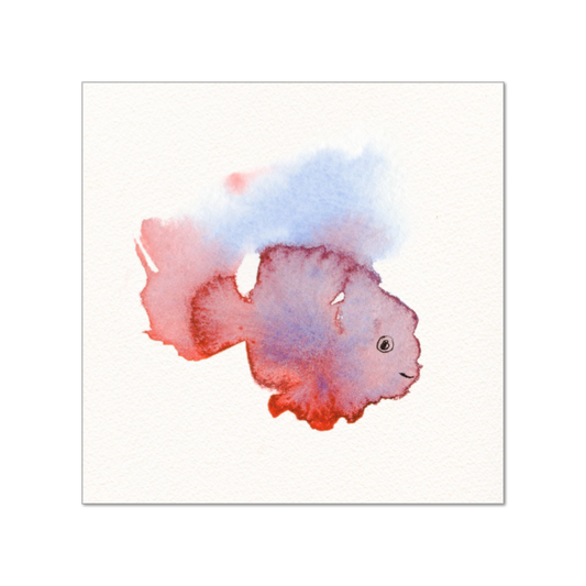 Fishy Friend