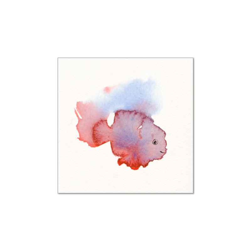 fish6x6.jpg