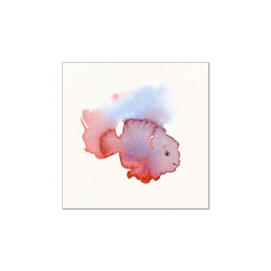 fish6x6.jpg