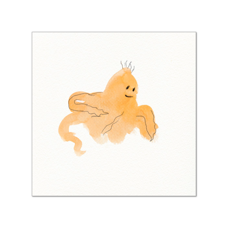 Octo friend